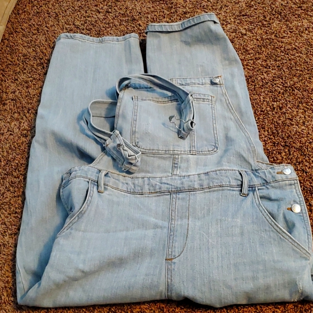 Wild Fable Overalls